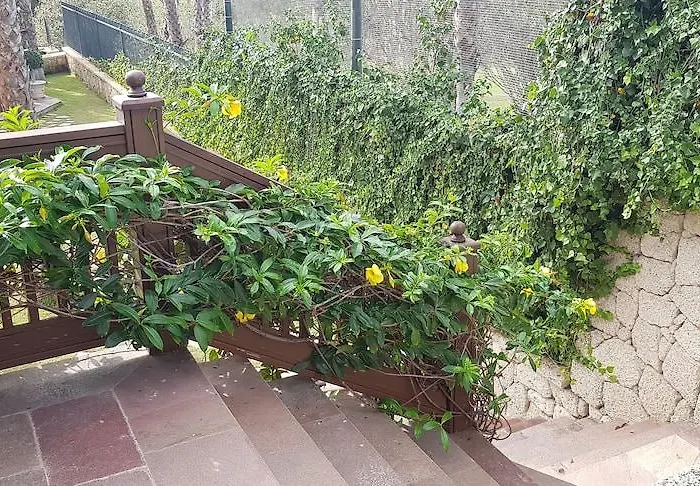 Hotel Madrigueras Golf & - Adults Only Playa de las Américas